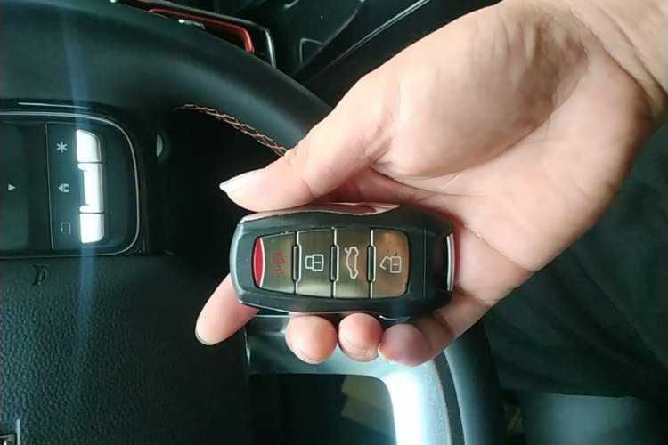 Used Haval DARGO 2021 2.0T DCT 4x4 Chinese Rural Dog Edition Vehicle Key