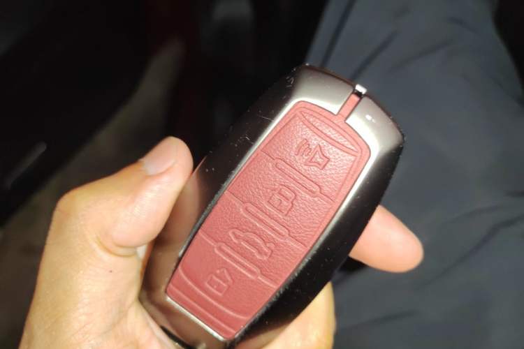 Used Haval DARGO 2021 Revised Version 2.0T DCT Four-Wheel Drive "Hao Tian Que" Edition Vehicle Key
