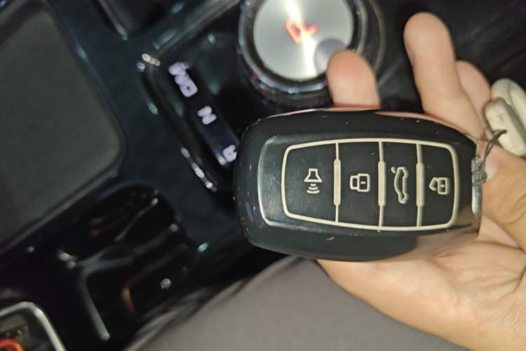 Used Haval DARGO 2021 1.5T DCT Two-Wheel Drive Border Collie Edition Vehicle Key