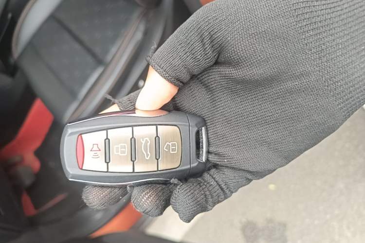 Used Haval DARGO 2021 1.5T DCT Two-Wheel Drive Labrador Edition Vehicle Key