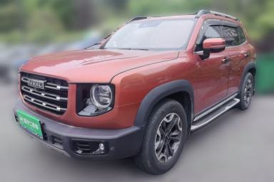 Used Haval DARGO 2021 2.0T DCT 4x4 Chinese Rural Dog Edition