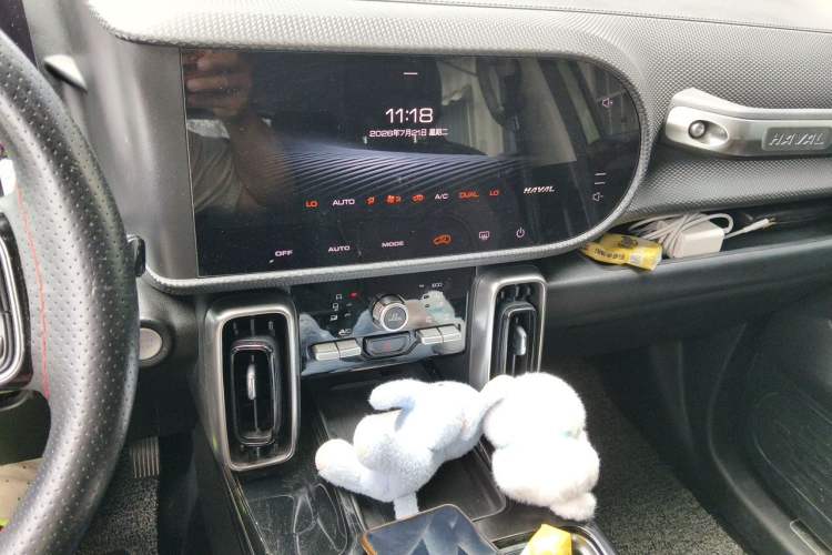 Used Haval DARGO 2021 Revised Version 2.0T DCT Four-Wheel Drive "Hao Tian Que" Edition Audio And AC Panel