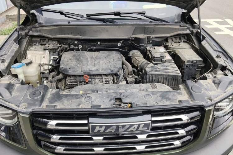 Used Haval DARGO 2021 Revised Version 2.0T DCT Four-Wheel Drive "Hao Tian Que" Edition Engine Bay