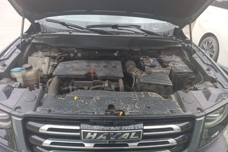 Used Haval DARGO 2021 1.5T DCT Two-Wheel Drive Border Collie Edition Engine Bay