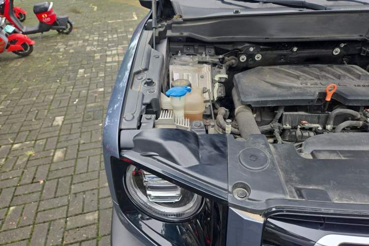 Used Haval DARGO 2021 1.5T DCT Two-Wheel Drive Border Collie Edition Engine Bay Right
