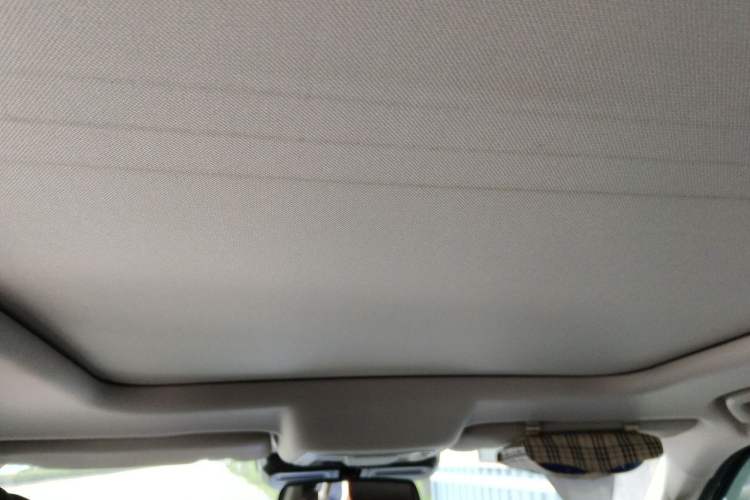 Used Haval DARGO 2021 Revised Version 2.0T DCT Four-Wheel Drive "Hao Tian Que" Edition Headliner