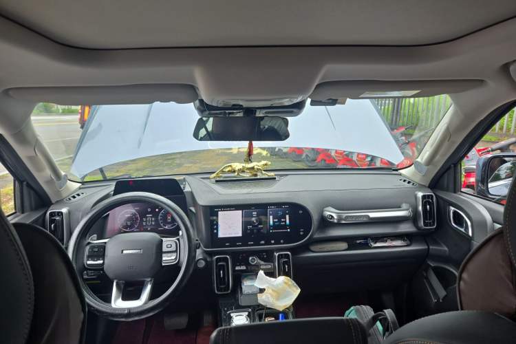 Used Haval DARGO 2021 1.5T DCT Two-Wheel Drive Border Collie Edition Headliner