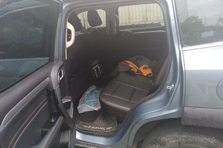 Used Haval DARGO 2021 1.5T DCT Two-Wheel Drive Border Collie Edition Left Rear Seat