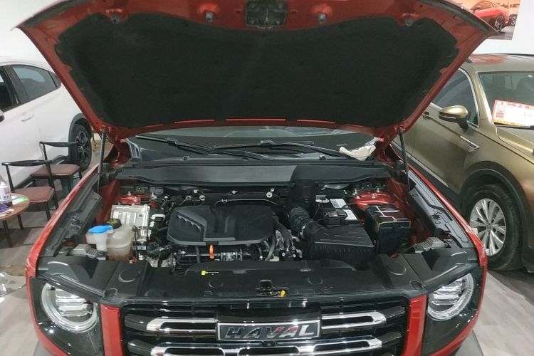 Used Haval DARGO 2021 2.0T DCT All-Wheel-Drive "Hao Tian Quan" Edition Engine Bay