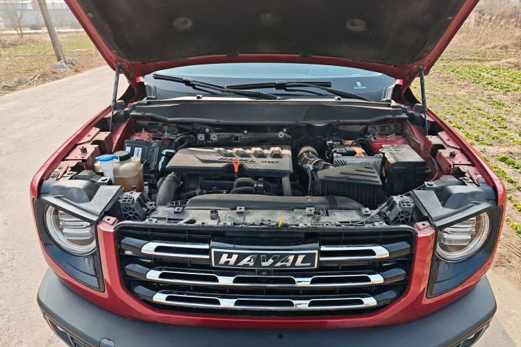 Used Haval DARGO 2021 1.5T DCT Two-Wheel Drive Border Collie Edition Engine Bay