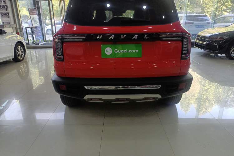 Used Haval DARGO 2021 2.0T DCT 4x4 Chinese Rural Dog Edition Exterior 4