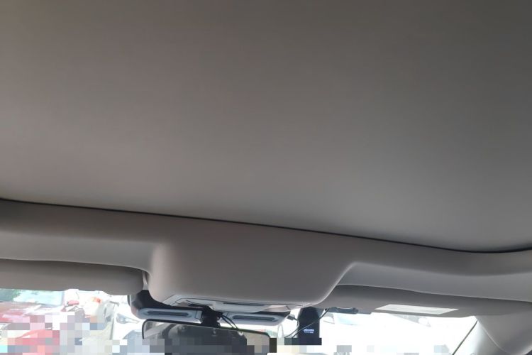 Used Haval DARGO 2021 1.5T DCT Two-Wheel Drive Border Collie Edition Headliner