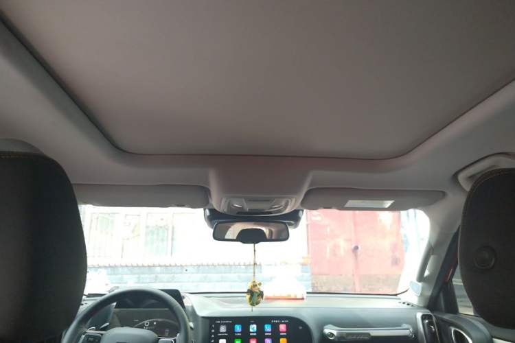 Used Haval DARGO 2021 1.5T DCT Two-Wheel Drive "Wangcai" Edition Headliner