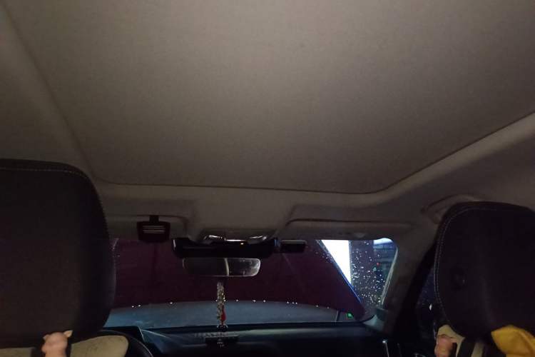 Used Haval DARGO 2021 1.5T DCT Two-Wheel Drive Border Collie - Wangcai Edition Headliner