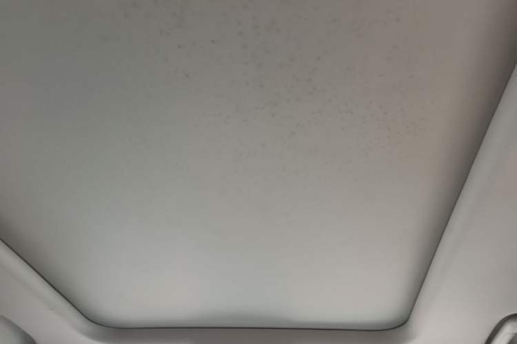 Used Haval DARGO 2021 1.5T DCT Two-Wheel Drive Border Collie - Wangcai Edition Headliner