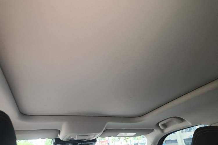 Used Haval DARGO 2021 1.5T DCT Two-Wheel Drive Labrador Edition Headliner