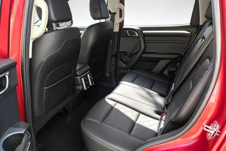 Used Haval DARGO 2021 2.0T DCT 4x4 Chinese Rural Dog Edition Interior 3