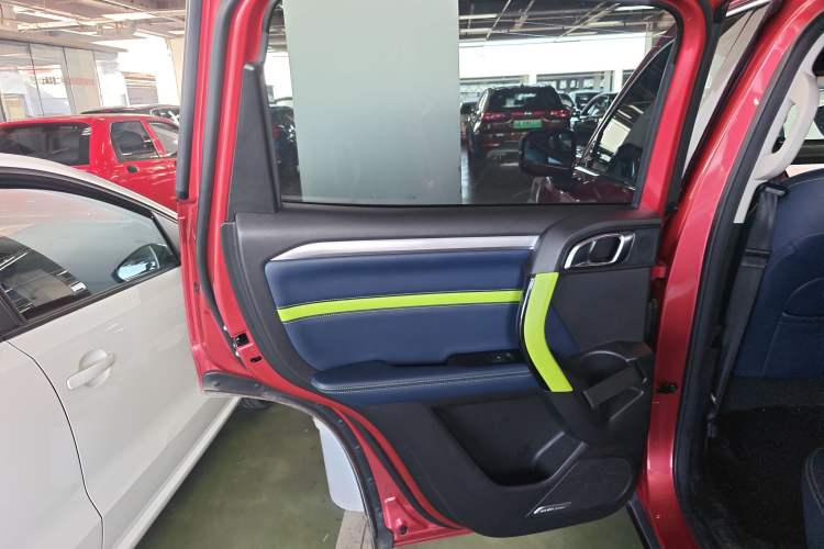 Used Haval DARGO 2021 1.5T DCT Two-Wheel Drive Border Collie Edition Left Rear Door Interior