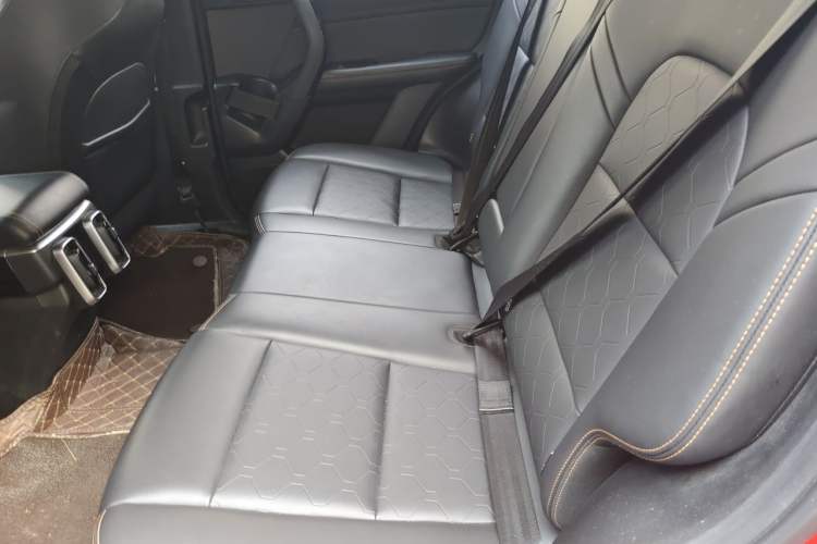 Used Haval DARGO 2021 1.5T DCT Two-Wheel Drive Border Collie Edition Left Rear Seat