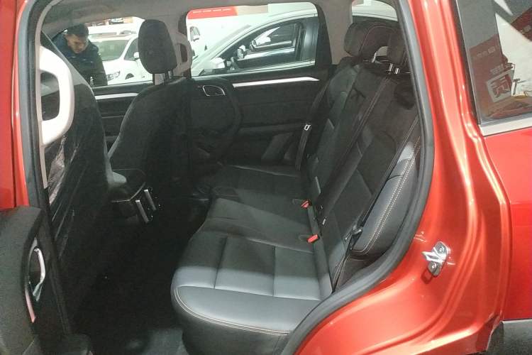 Used Haval DARGO 2021 2.0T DCT All-Wheel-Drive "Hao Tian Quan" Edition Left Rear Seat