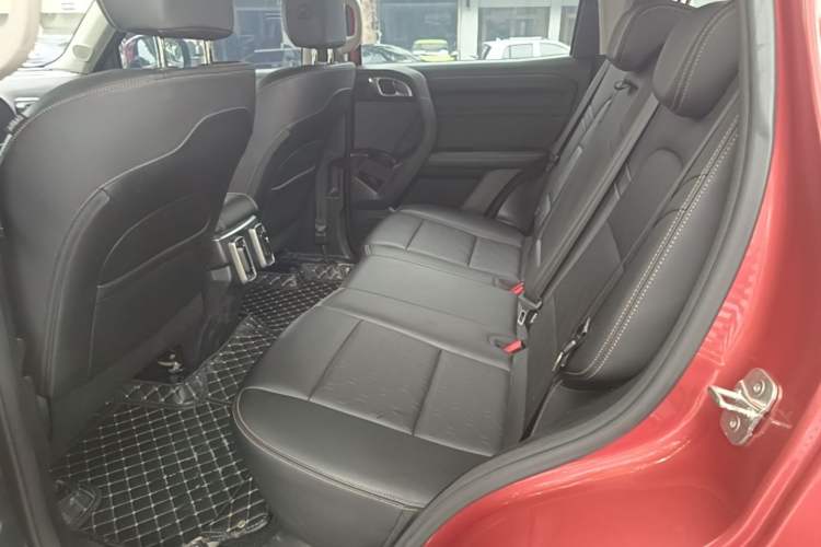 Used Haval DARGO 2021 1.5T DCT Two-Wheel Drive Labrador Edition Left Rear Seat