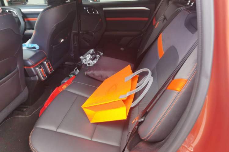 Used Haval DARGO 2021 2.0T DCT All-Wheel-Drive "Hao Tian Quan" Edition Left Rear Seat