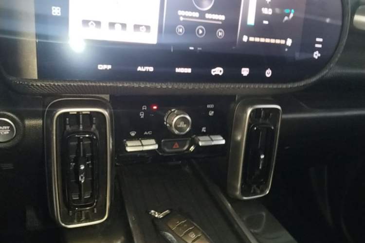 Used Haval DARGO 2021 1.5T DCT Two-Wheel Drive Labrador Edition Audio And AC Panel
