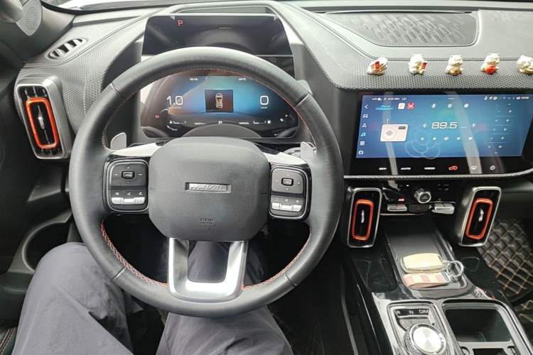 Used Haval DARGO 2021 1.5T DCT Two-Wheel Drive Border Collie - Wangcai Edition Center Console