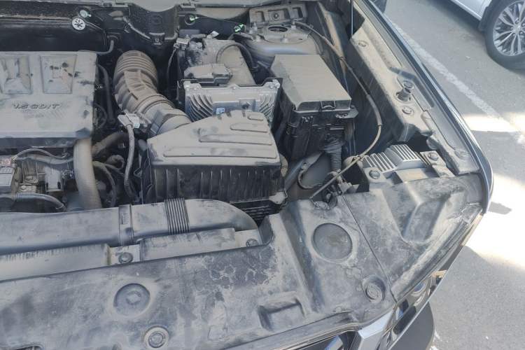 Used Haval DARGO 2021 1.5T DCT Two-Wheel Drive Border Collie Edition Engine Bay Left