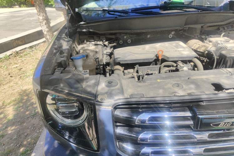 Used Haval DARGO 2021 1.5T DCT Two-Wheel Drive Border Collie Edition Engine Bay Right