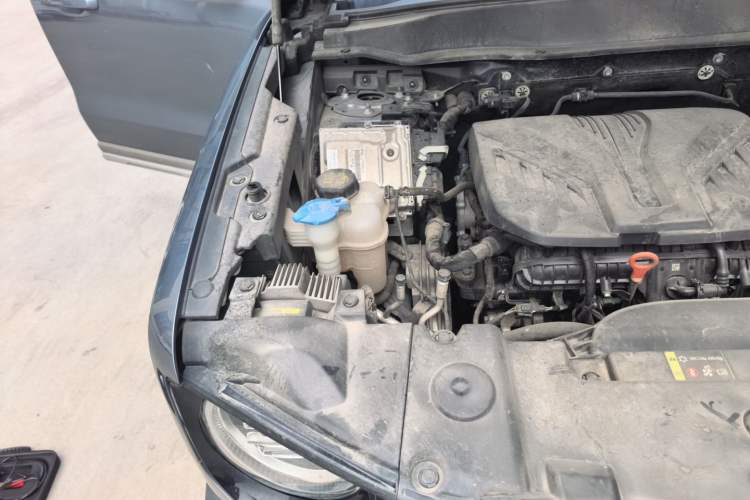 Used Haval DARGO 2021 2.0T DCT 4x4 Chinese Rural Dog Edition Engine Bay Right