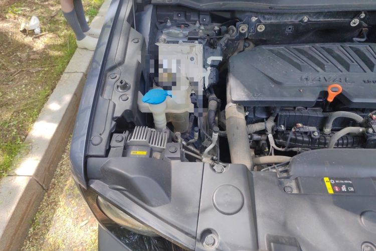 Used Haval DARGO 2021 1.5T DCT Two-Wheel Drive Border Collie Edition Engine Bay Right