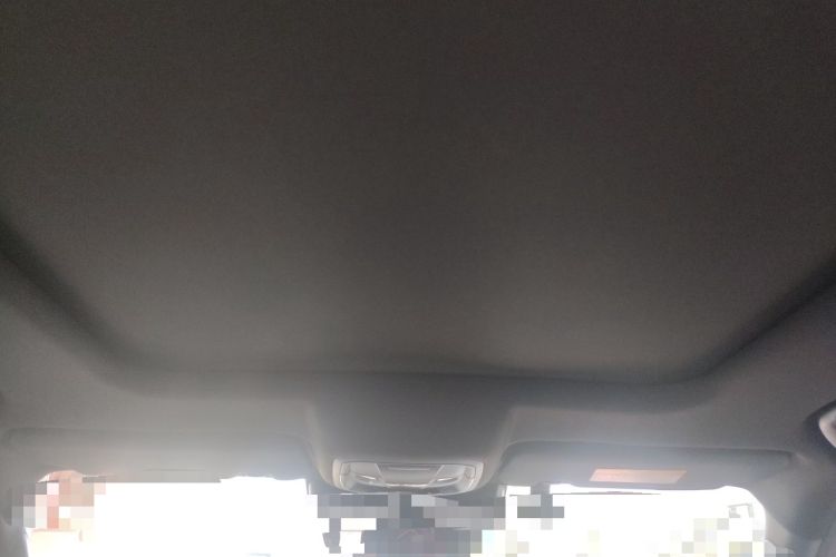 Used Haval DARGO 2021 1.5T DCT Two-Wheel Drive Border Collie Edition Headliner