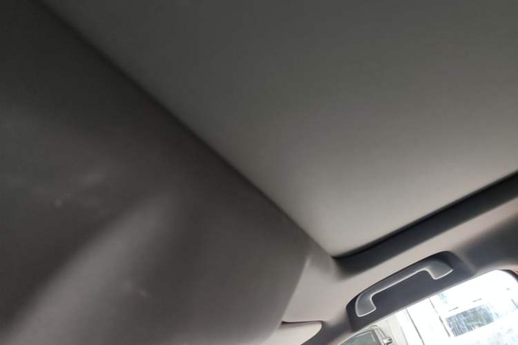 Used Haval DARGO 2021 1.5T DCT Two-Wheel Drive Border Collie - Wangcai Edition Headliner