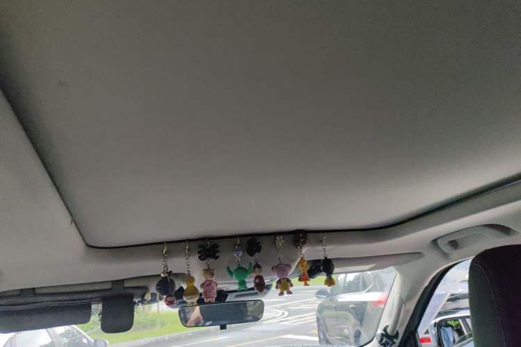 Used Haval DARGO 2021 2.0T DCT 4x4 Chinese Rural Dog Edition Headliner