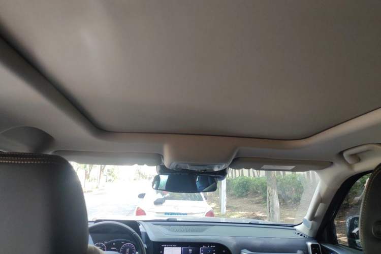 Used Haval DARGO 2021 1.5T DCT Two-Wheel Drive Border Collie Edition Headliner