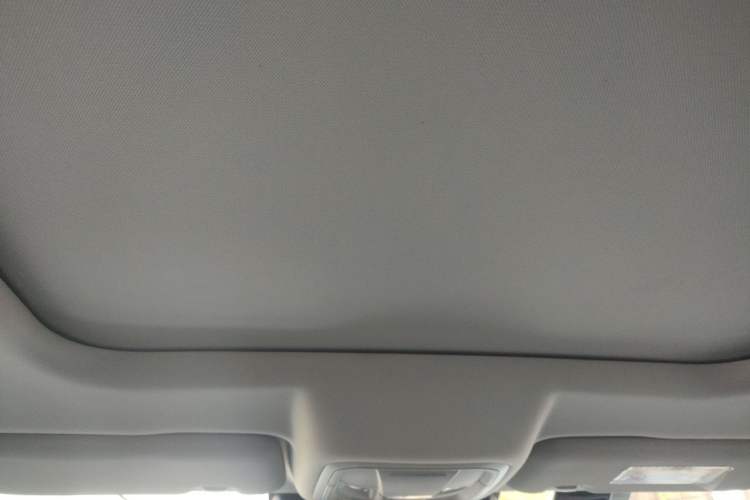 Used Haval DARGO 2021 1.5T DCT Two-Wheel Drive Border Collie Edition Headliner