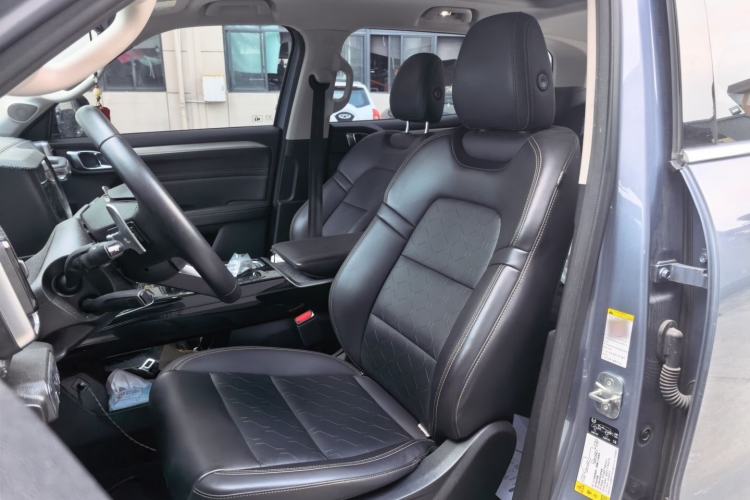 Used Haval DARGO 2021 2.0T DCT 4x4 Chinese Rural Dog Edition Left Front Seat