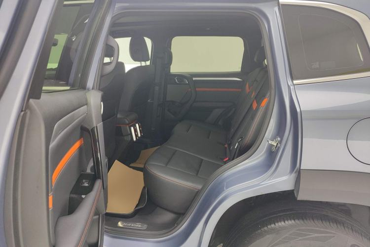 Used Haval DARGO 2021 2.0T DCT 4x4 Chinese Rural Dog Edition Left Rear Seat