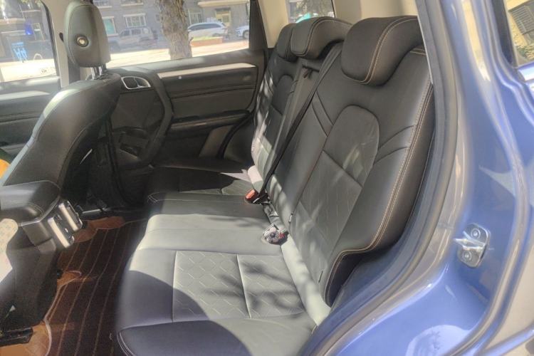 Used Haval DARGO 2021 1.5T DCT Two-Wheel Drive Border Collie Edition Left Rear Seat