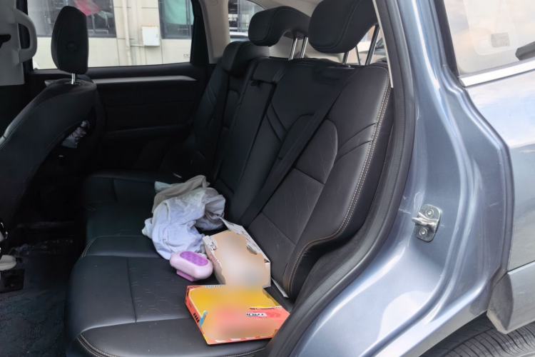 Used Haval DARGO 2021 2.0T DCT 4x4 Chinese Rural Dog Edition Left Rear Seat