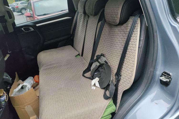 Used Haval DARGO 2021 2.0T DCT 4x4 Chinese Rural Dog Edition Left Rear Seat