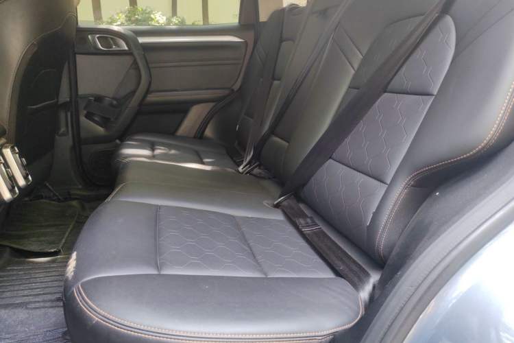 Used Haval DARGO 2021 1.5T DCT Two-Wheel Drive Border Collie Edition Left Rear Seat