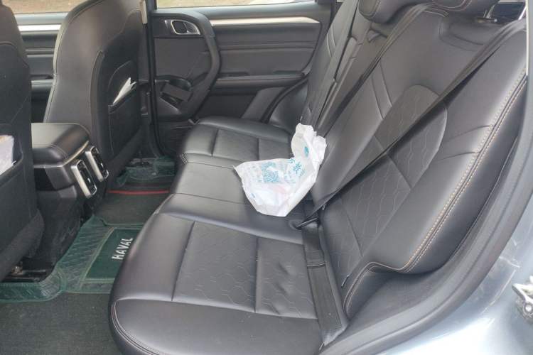 Used Haval DARGO 2021 1.5T DCT Two-Wheel Drive Border Collie Edition Left Rear Seat