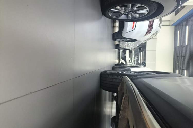 Used Haval DARGO 2021 Revised Version 1.5T DCT Two-Wheel Drive "Mǎquǎn" Edition Left Side Sill