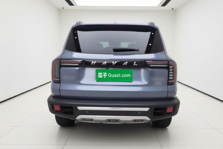 Used Haval DARGO 2021 2.0T DCT 4x4 Chinese Rural Dog Edition Rear