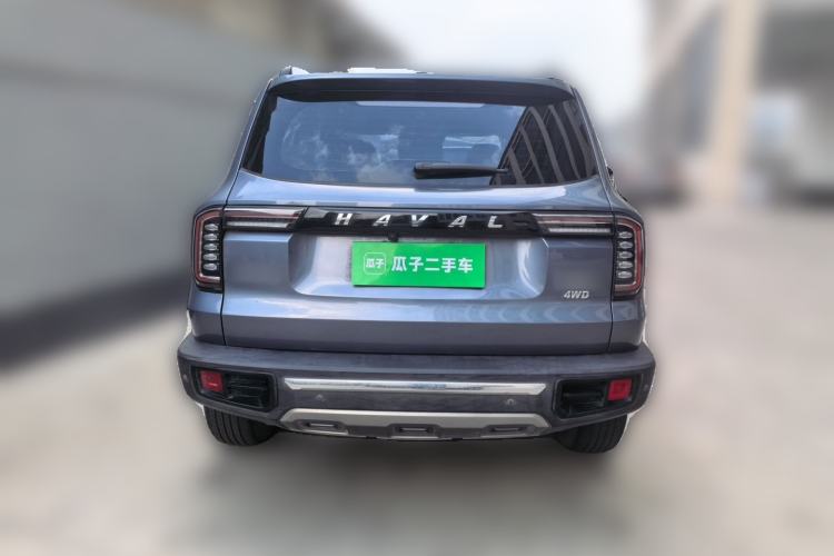 Used Haval DARGO 2021 2.0T DCT 4x4 Chinese Rural Dog Edition Rear