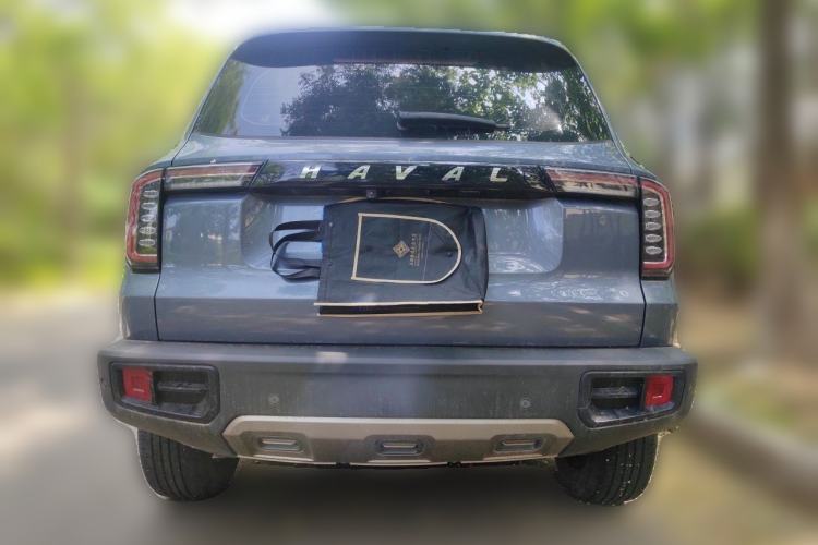 Used Haval DARGO 2021 1.5T DCT Two-Wheel Drive Border Collie Edition Rear