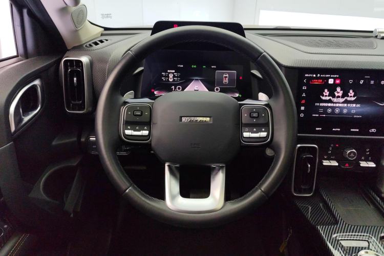 Used Haval DARGO 2021 2.0T DCT 4x4 Chinese Rural Dog Edition Steering Wheel