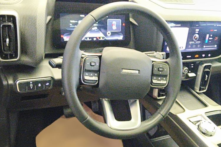 Used Haval DARGO 2021 1.5T DCT Two-Wheel Drive Labrador Edition Steering Wheel